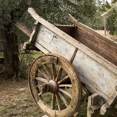 La Romagnana